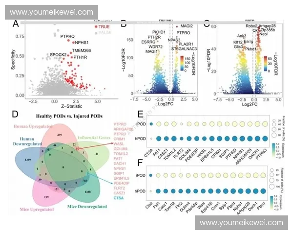 赛事数据分析全景透视：全面解析比赛统计背后的深层含义与趋势